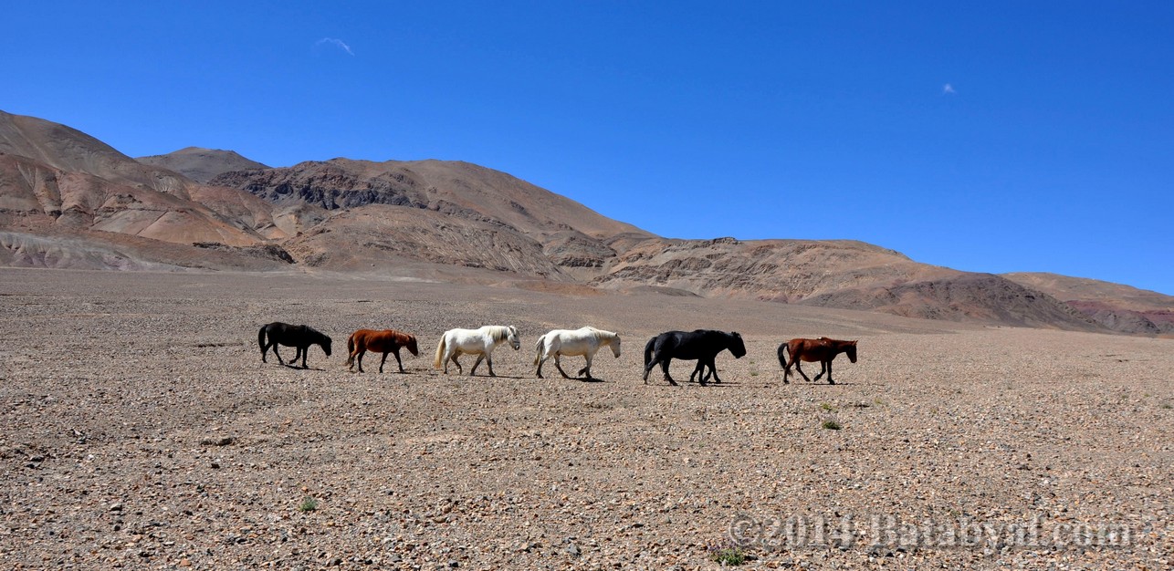 Ladakh